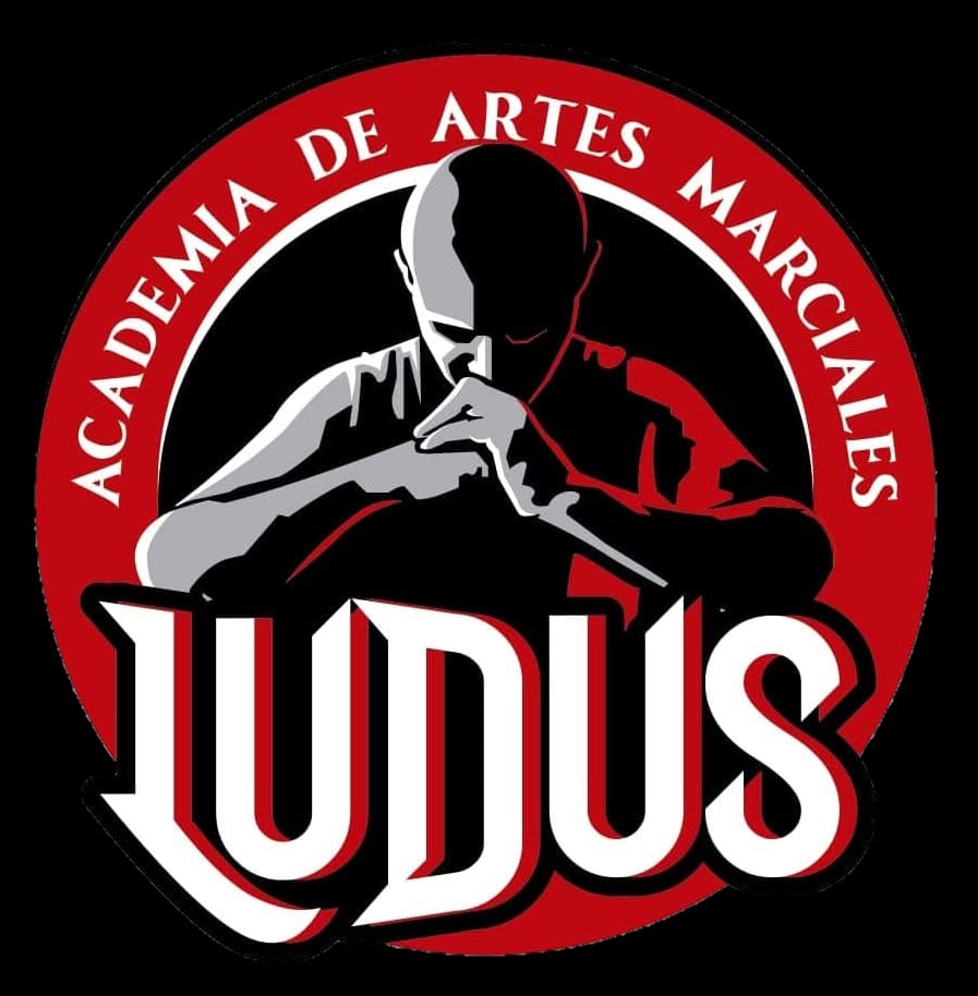 Logo Ludus San Damian